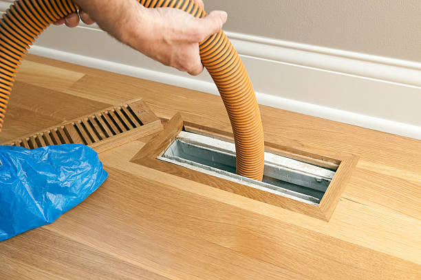 Air Duct Mold Removal in Owings, MD
